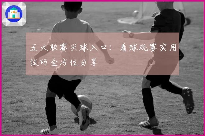 五大联赛买球入口：看球观赛实用技巧全方位分享